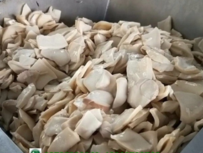 鹽水蘑菇、蘑菇罐頭和脫水蘑菇加工技術(shù)